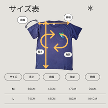画像をギャラリービューアに読み込む, TシャツM、L それぞれのサイズ表イメージ