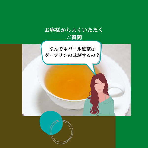 ネパールの紅茶はダージリンと似てる!?