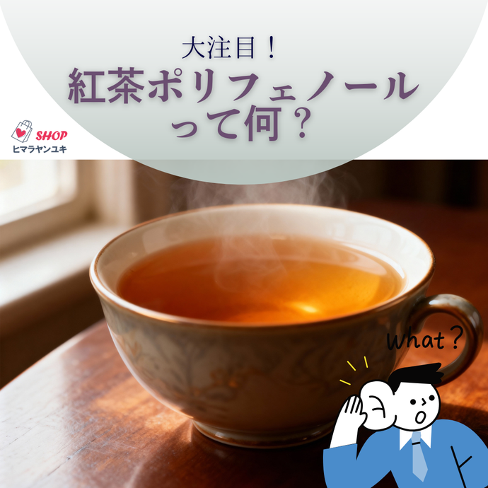 大注目！紅茶ポリフェノールの魅力と健康効果