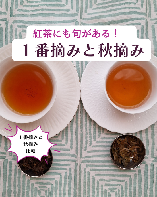 紅茶をもっと楽しむ！１番摘みと秋摘み紅茶の特徴徹底比較！