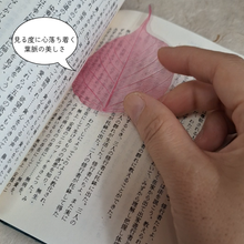 画像をギャラリービューアに読み込む, 心鎮まる 菩提樹の葉のスケルトンしおり｜ひもなし・ラミネート仕様（単行本・文庫用）
